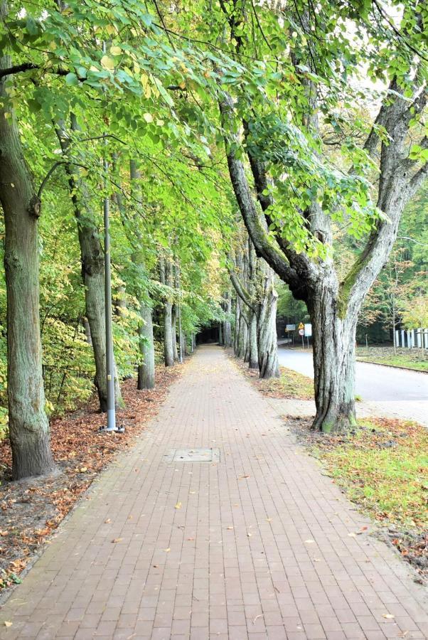 Basesopot Daire Dış mekan fotoğraf
